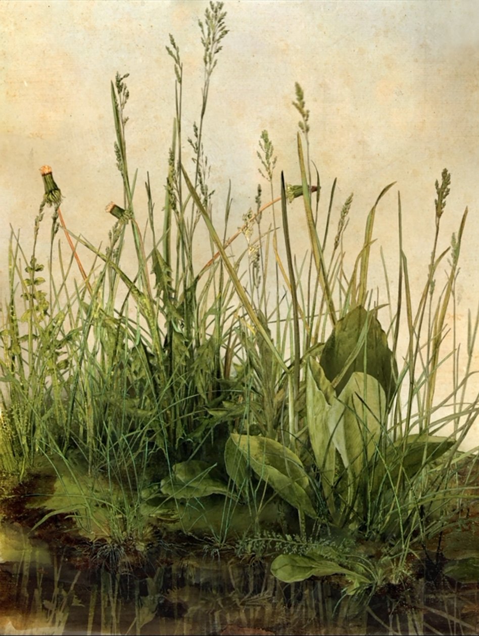 Whispering Weeds, 2011 (Houten frame, rand, LCD-scherm, ventilator en harde schijf) door Mat Collishaw