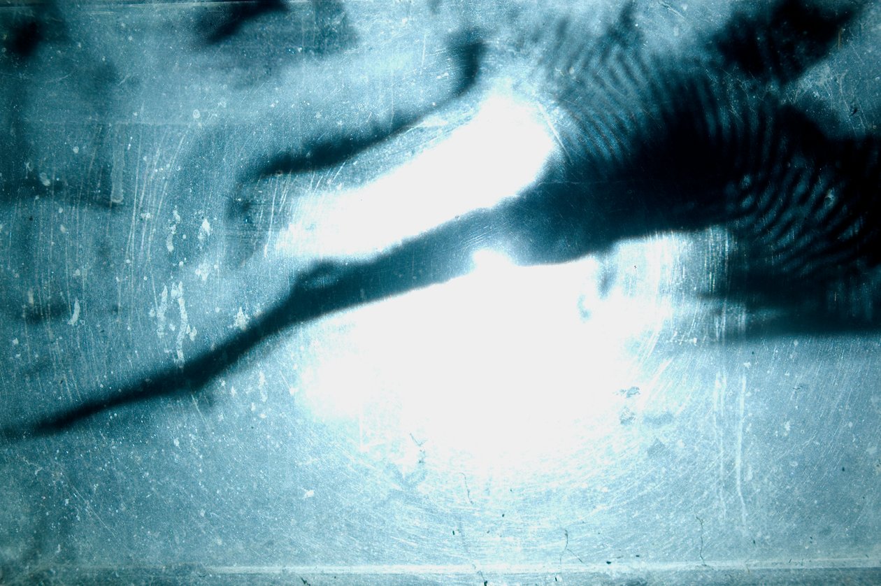 Wormerij, 2009 (Hout, glas, staal, projector en speler) door Mat Collishaw