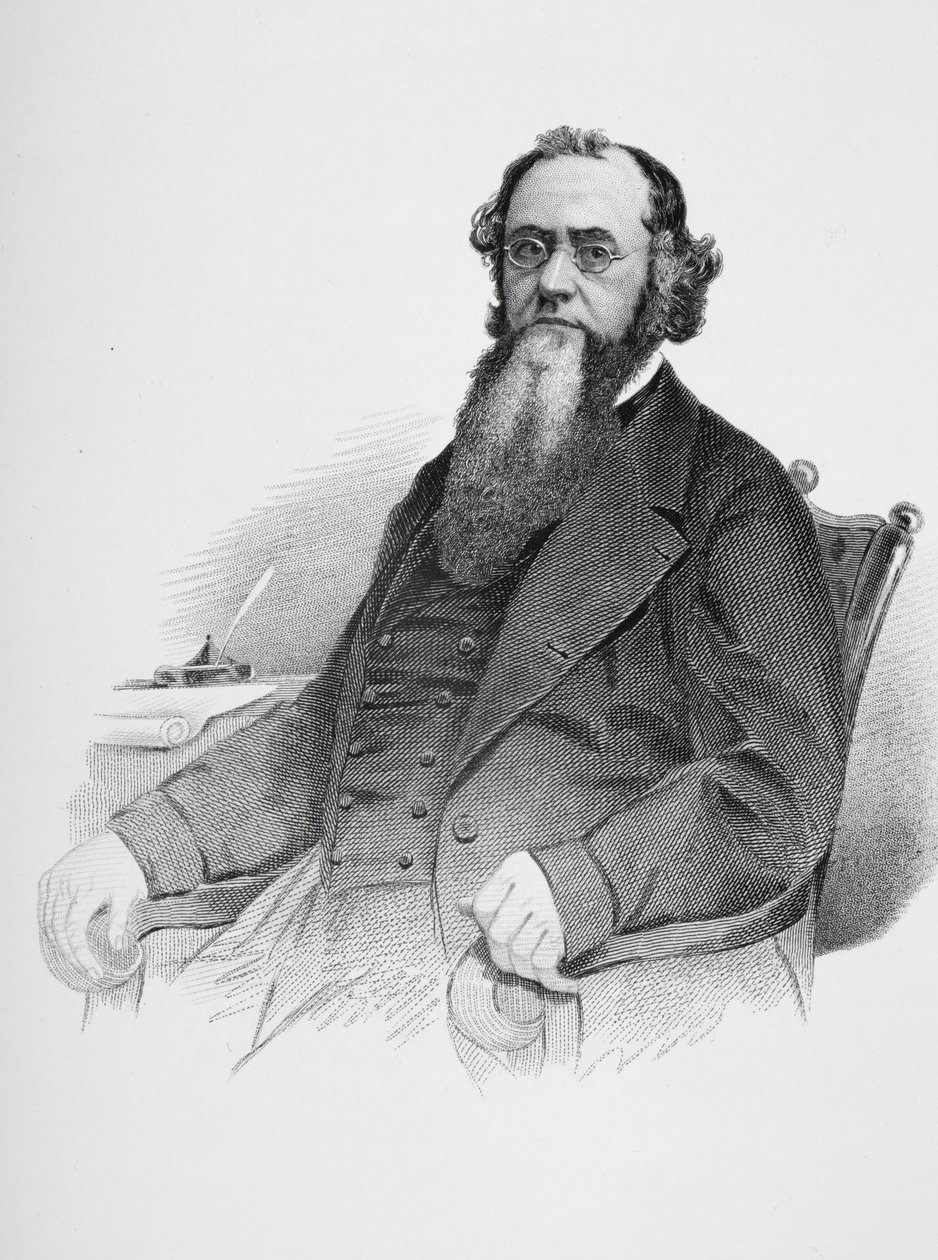 Portret van Edwin M. Stanton (1814-69) door Mathew B. Brady