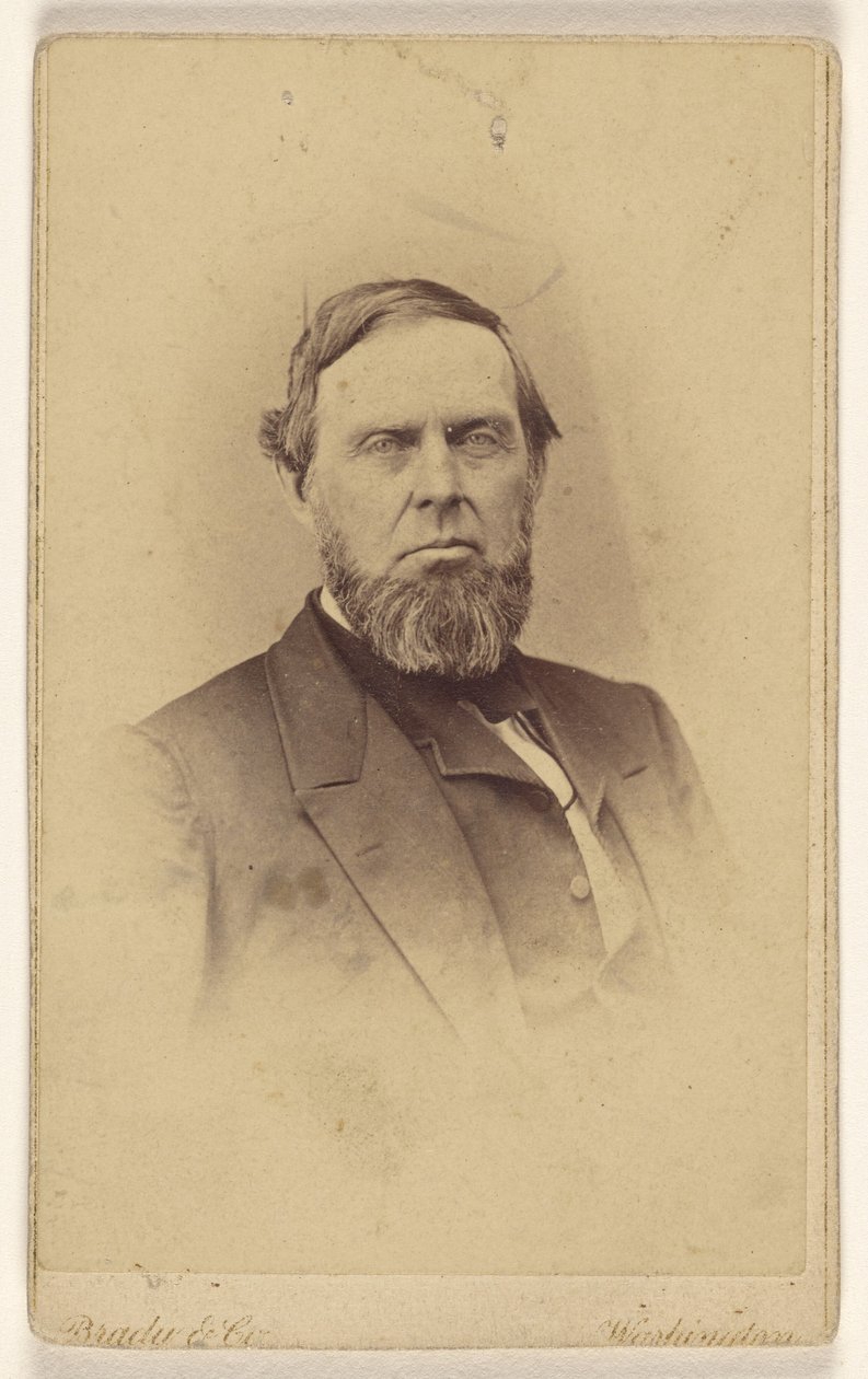 [Onbekende man met baard, afgebeeld in vignetstijl] door Mathew B. Brady