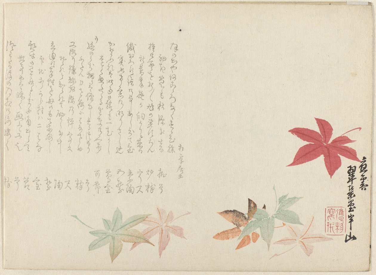 Japanse esdoorn door Matsukawa Hanzan