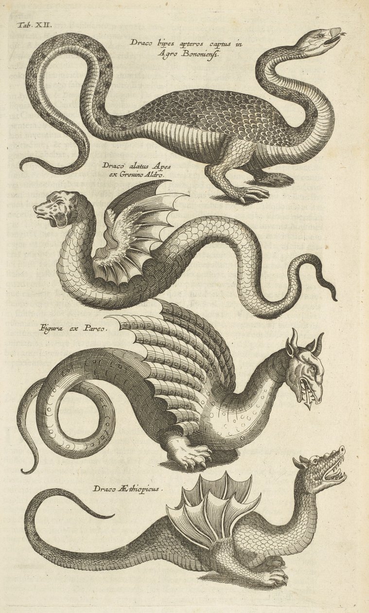 Tab XII, Mythische wezens, Draken, Illustratie uit 