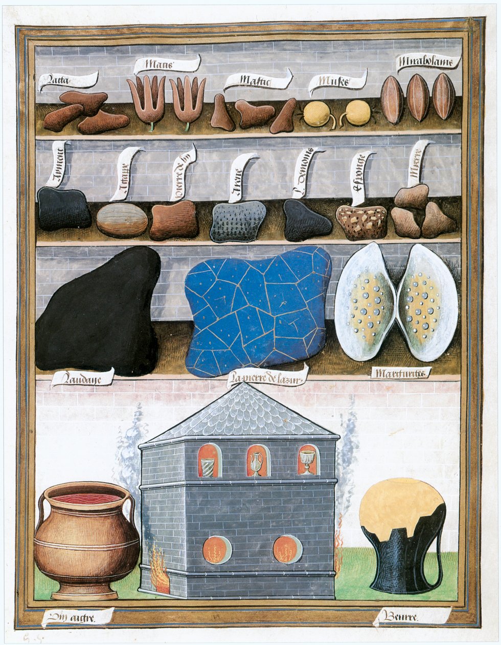  door Matthaeus Platearius