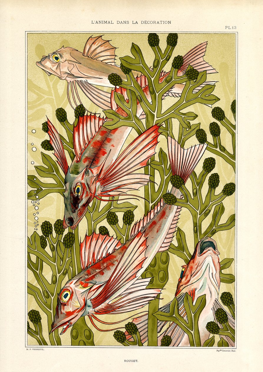 Gestileerde vissen tussen zeeplanten (litho) door Maurice Pillard Verneuil