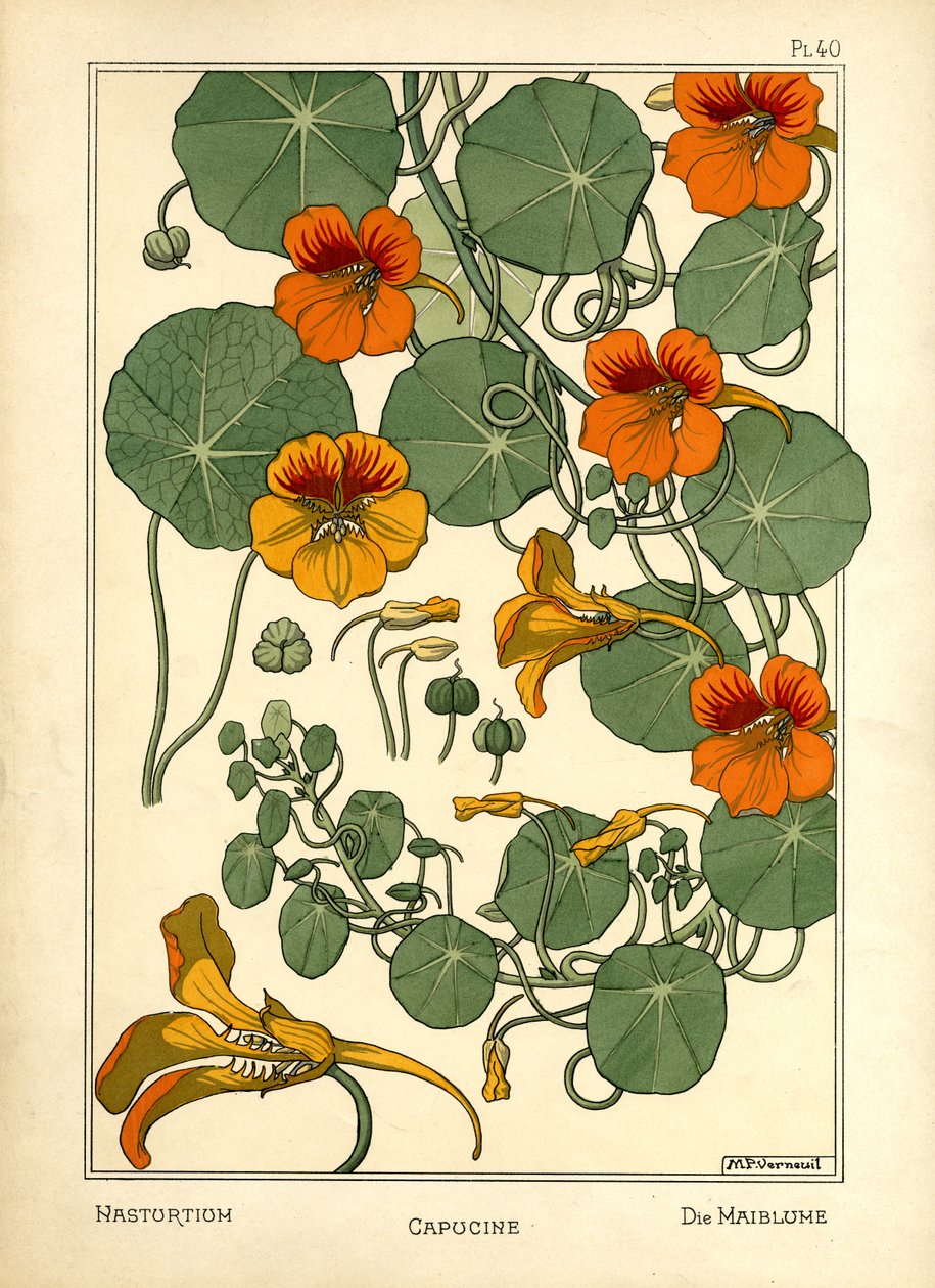 De Oost-Indische kers door Maurice Pillard Verneuil