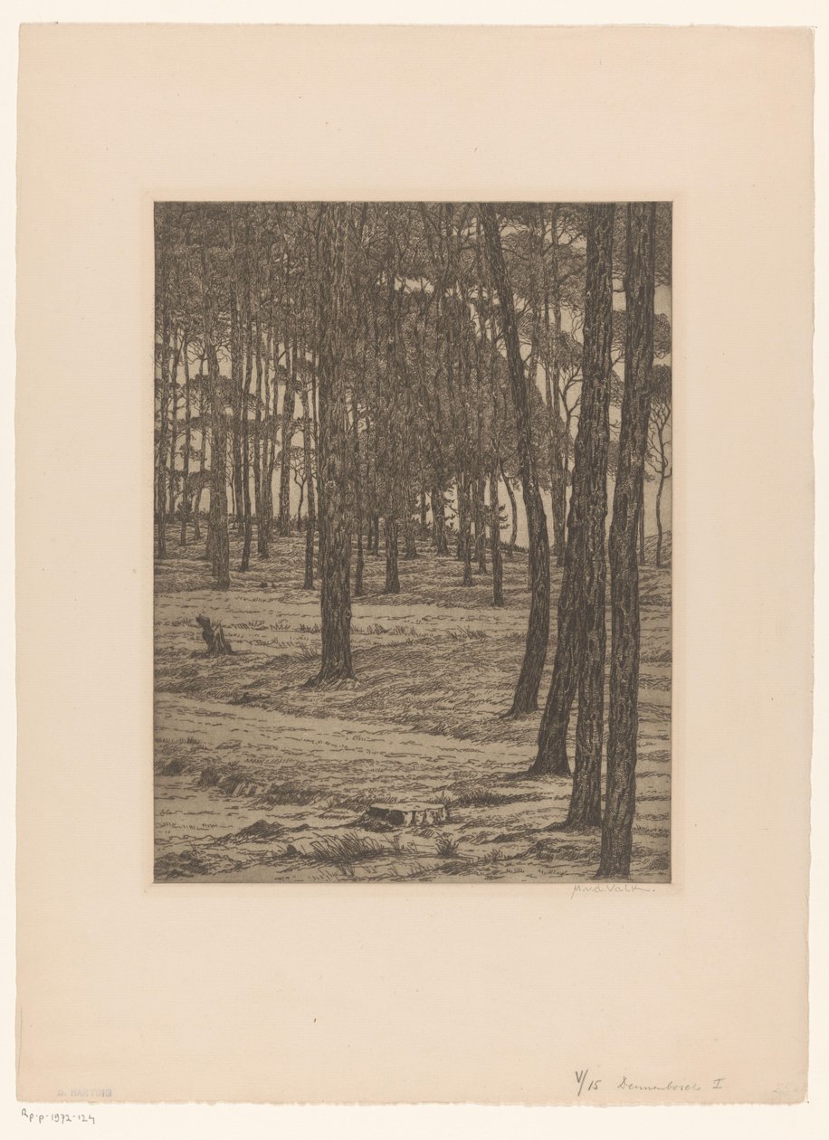 Dennenbosch I door Maurits van der Valk (signed by artist)