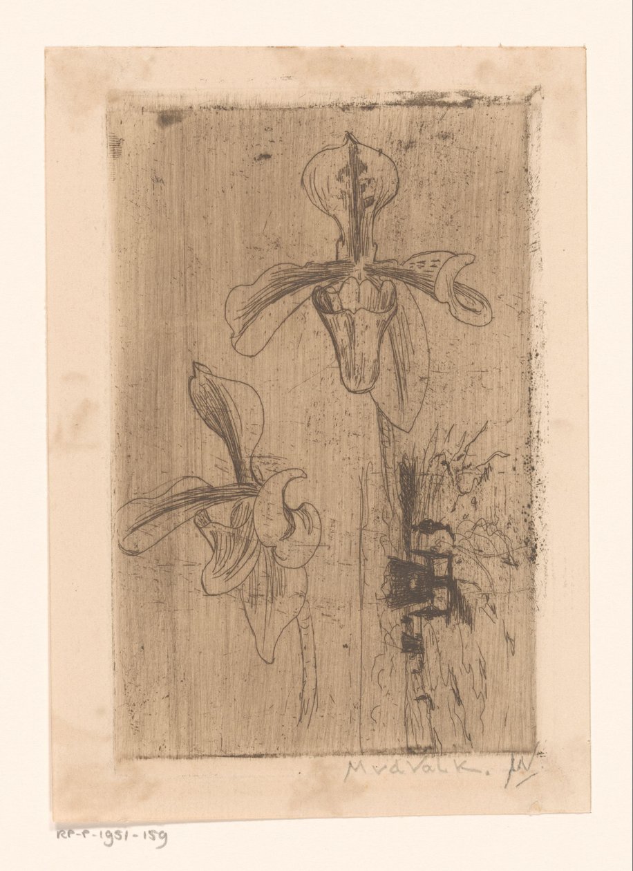 Twee orchideeën en een kar op het strand door Maurits van der Valk (signed by artist)