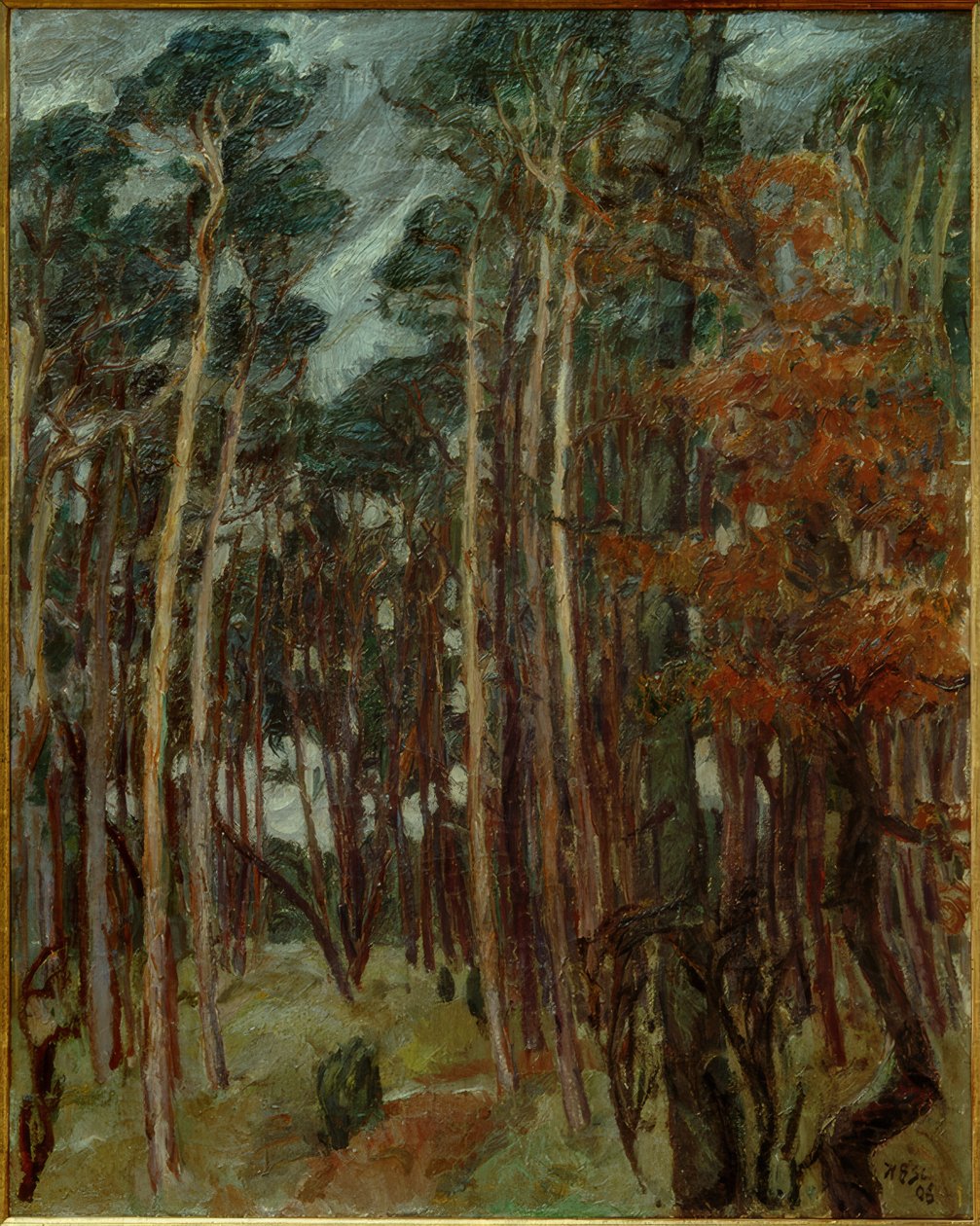 Hermsdorfer bos op een grijze dag door Max Beckmann