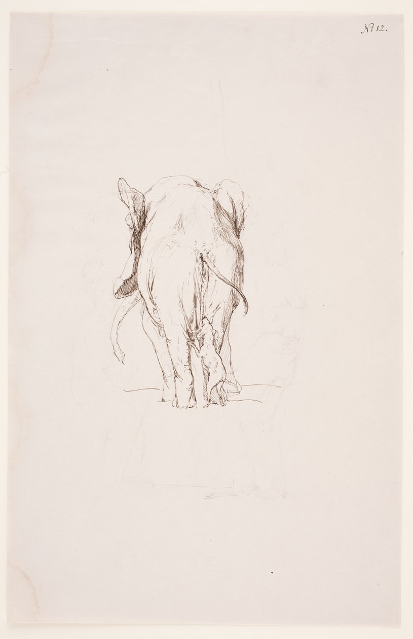 Weg der Besmetting - Olifant en snuffelende hond door Max Klinger