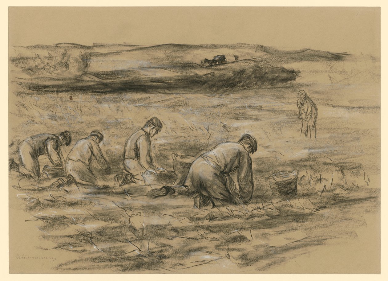 Aardappelroer in Zandvoort door Max Liebermann