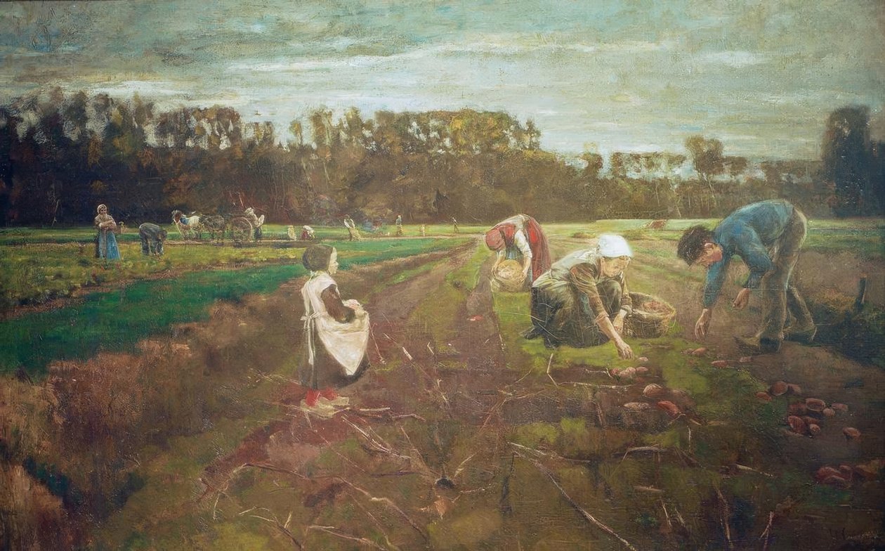Aardappeloogst in Barbizon door Max Liebermann