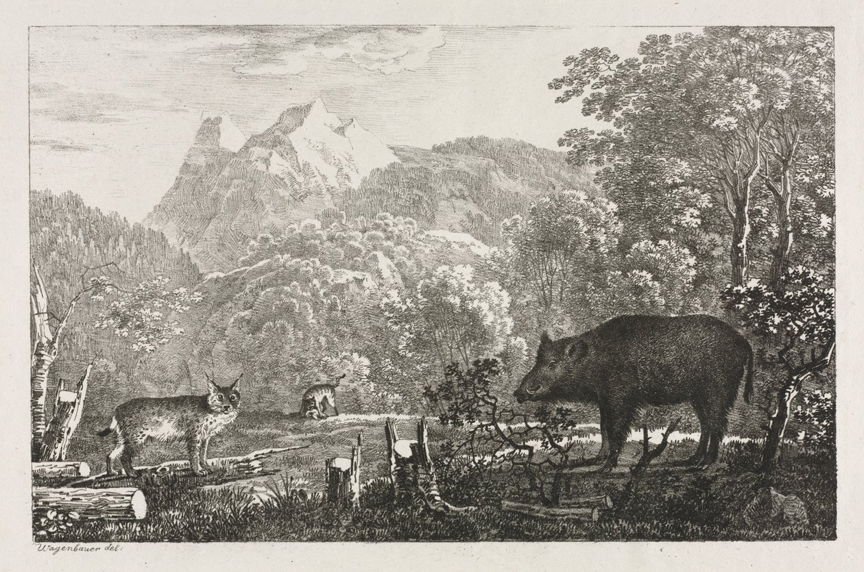 Wild Zwijn, Wilde Kat en Lynx, 1807 door Maximilian Josef Wagenbauer