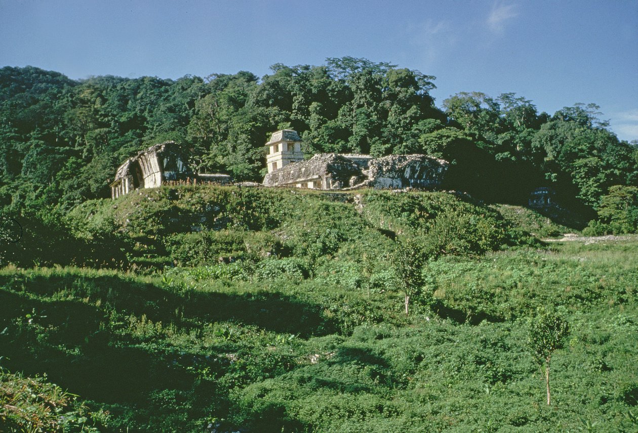 Paleis en observatorium op heuvel, Maya, Late Klassieke Periode door Mayan