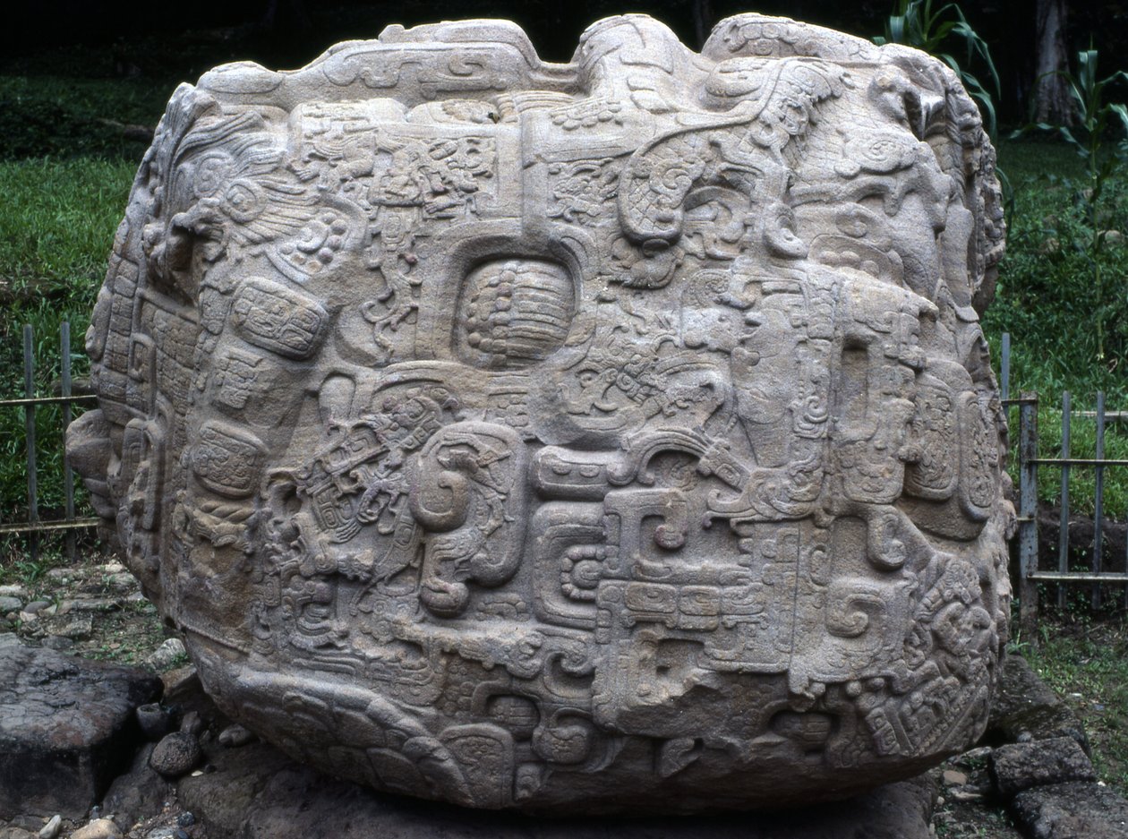 Zijaanzicht van zoomorfische steen P, Late Klassieke periode (600-900 AD) door Mayan