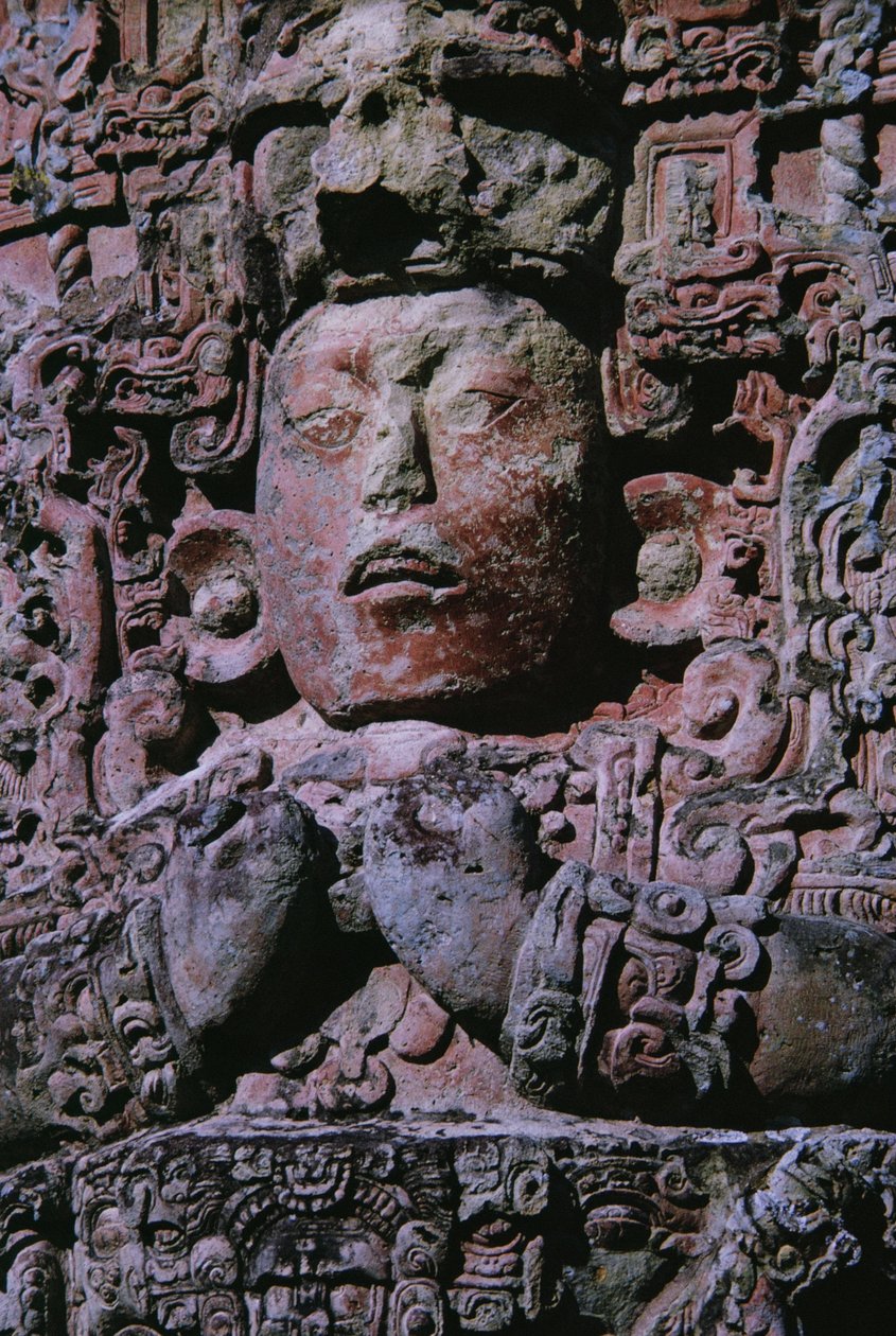 Stele in Grand Plaza (detail) door Mayan Mayan