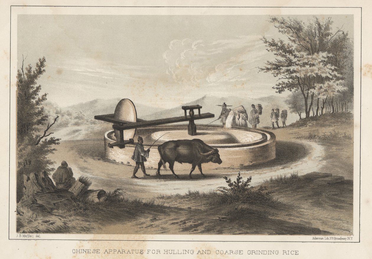 Chinees Apparaat voor het Pellen en Grof Malen van Rijst, 1855 door Meffert