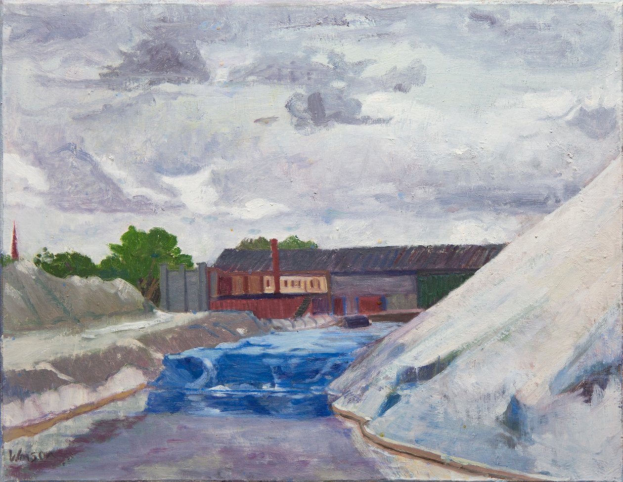 Zoutdam op de Cal Sag, 2014 (olieverf op doek) door Megan Williamson
