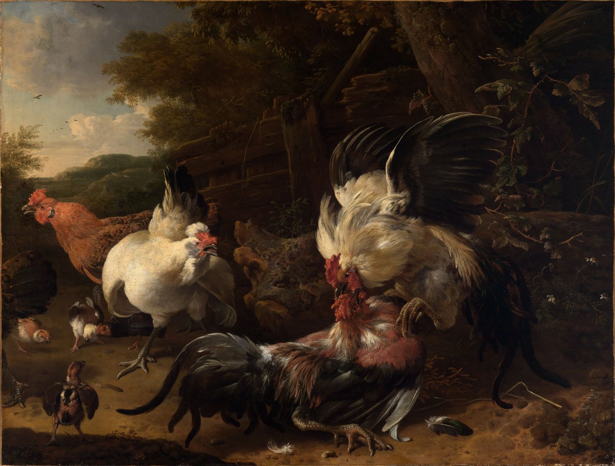 Vechtende hanen door Melchior de Hondecoeter