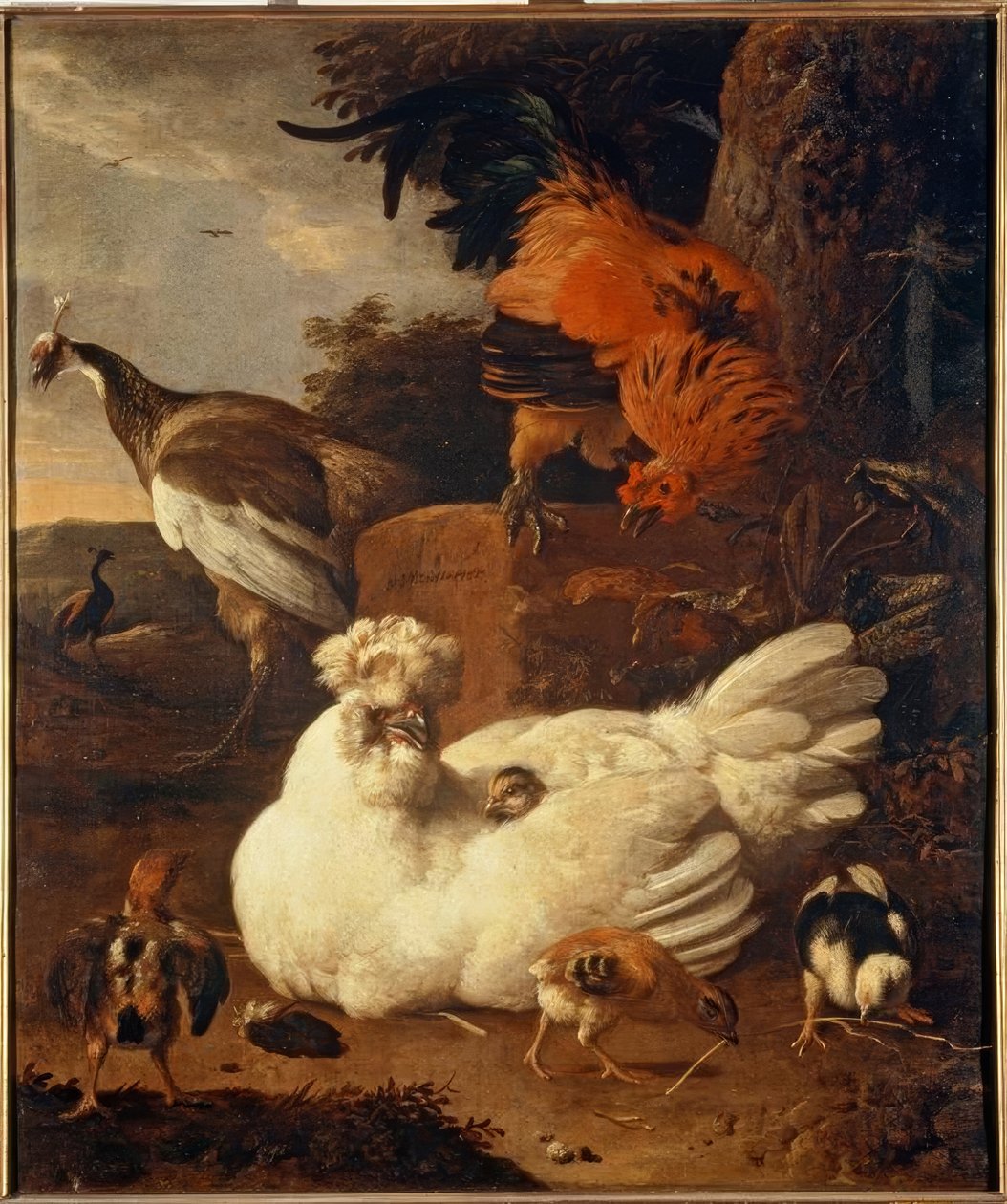 M. de Hondecoeter, Hen met kuikens door Melchior de Hondecoeter