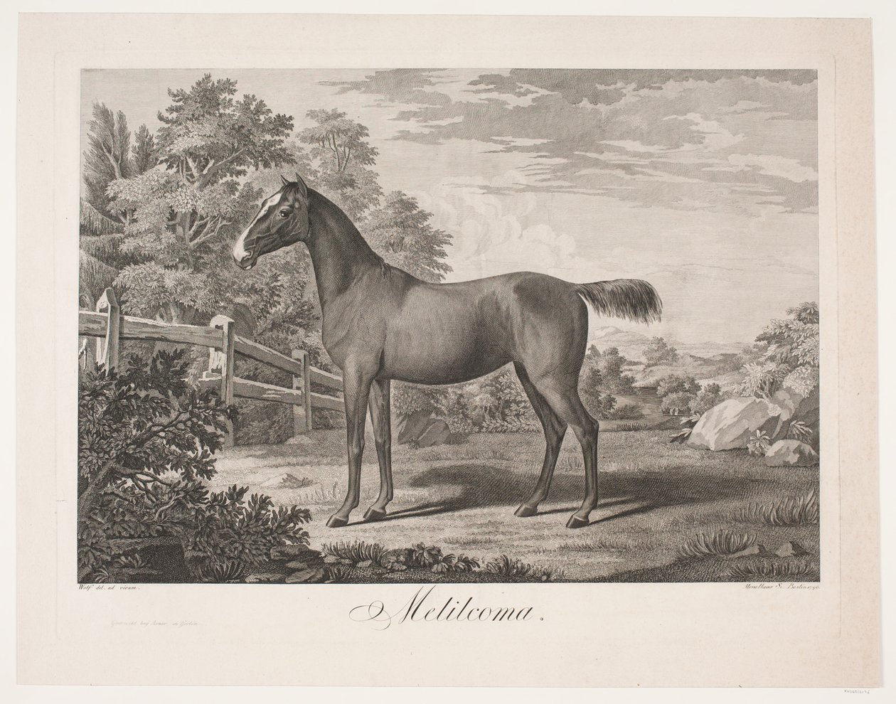 Het paard 