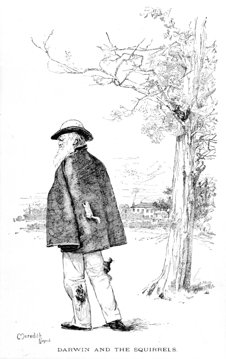 Darwin en de eekhoorns, illustratie uit Charles Darwin, Zijn Leven en Werk door Charles Frederick Holder, 1899 door Meredith Nugent