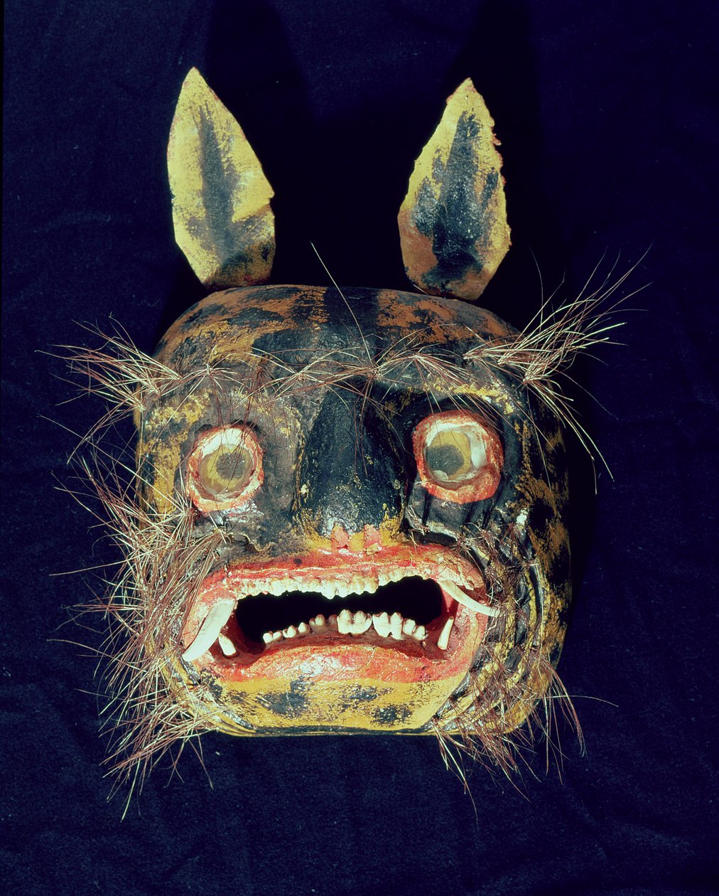 Masker door Mexican School