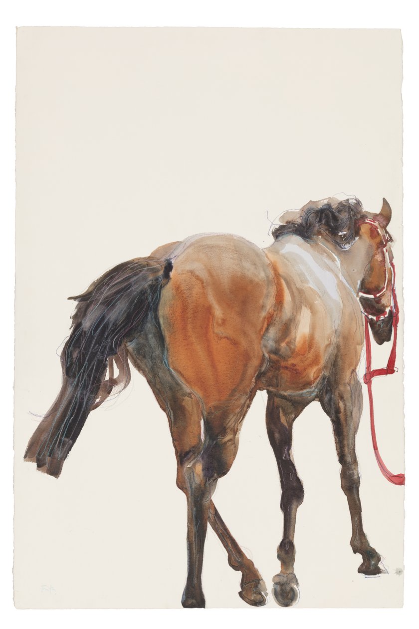 Zonder Titel, 2018 door Michael Frith