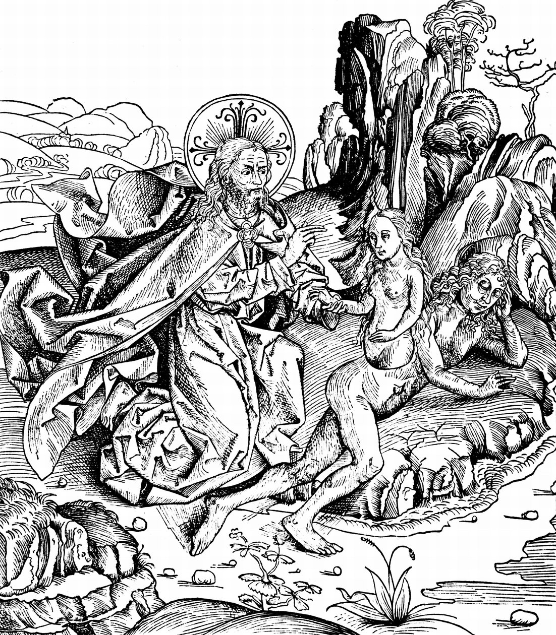 Na het universum, de aarde en alle levende wezens, inclusief de mens, te hebben geschapen, bracht God Adam in een diepe slaap en schiep Eva uit Adams rib. Uit het Liber chronicarum mundi van Hartmann Schedel door Michael & Pleydenwurff W. (d.1494) Wolgemuth