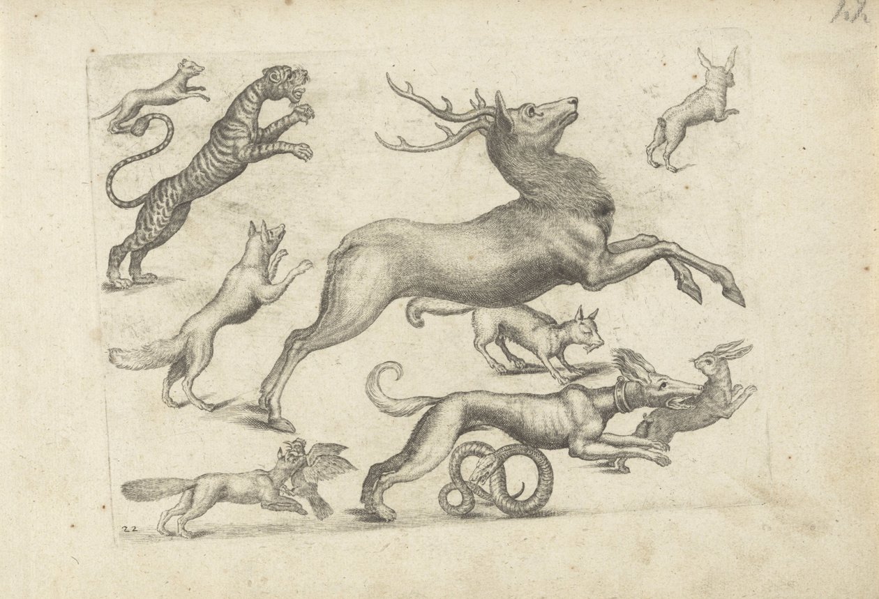 Studieblad met tekenvoorbeelden: diverse dieren door Michael Snijders (attributed to)