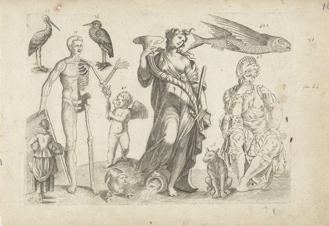 Studieblad met tekenvoorbeelden: dieren en diverse figuren door Michael Snijders