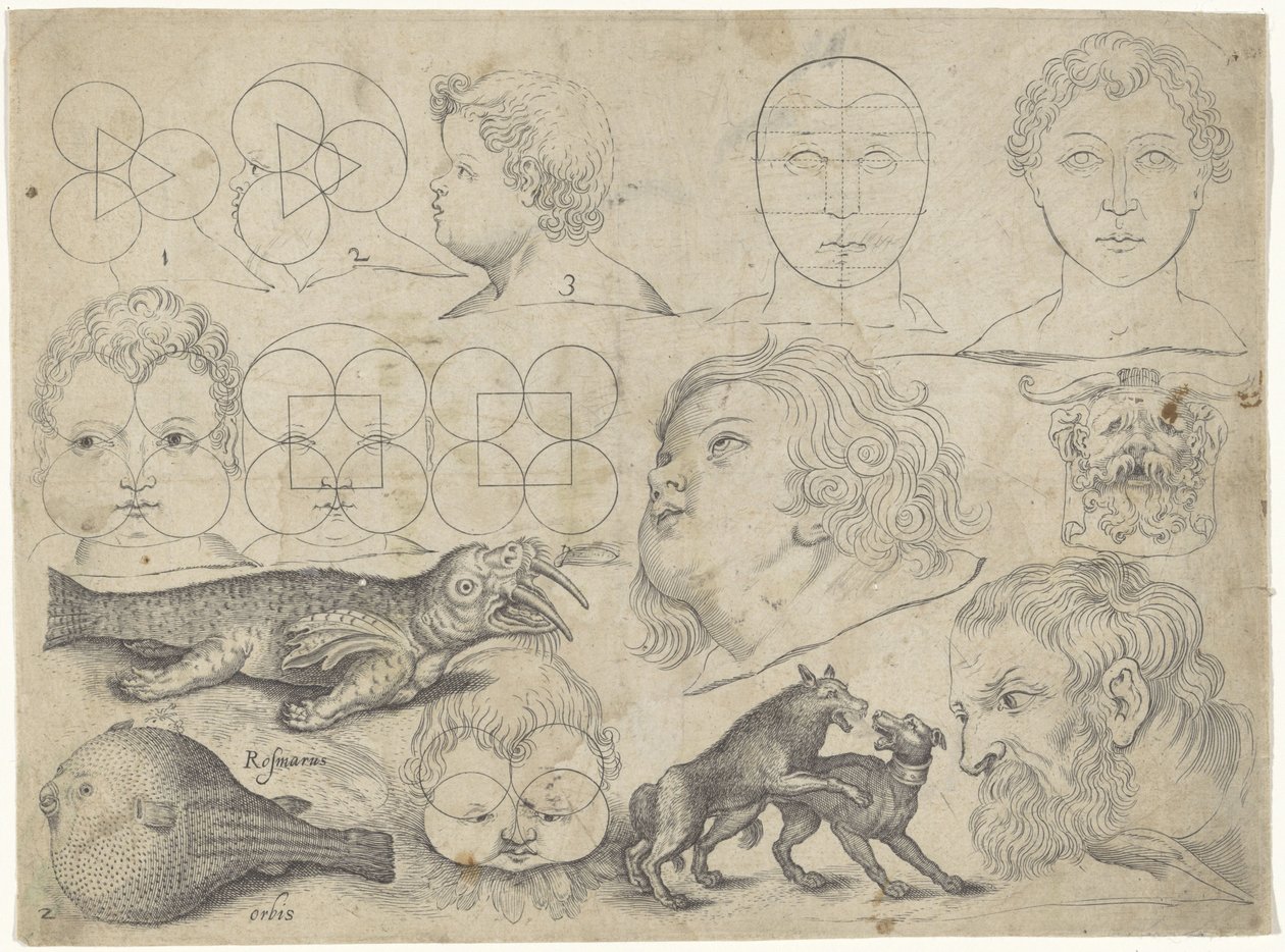 Studieblad met tekenvoorbeelden: figuren, dieren door Michael Snijders