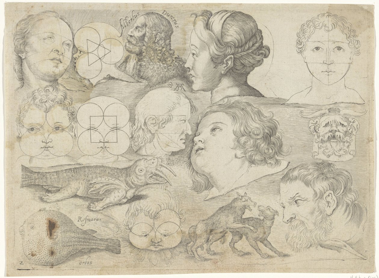 Studieblad met tekenvoorbeelden: figuren, dieren etc. door Michael Snijders