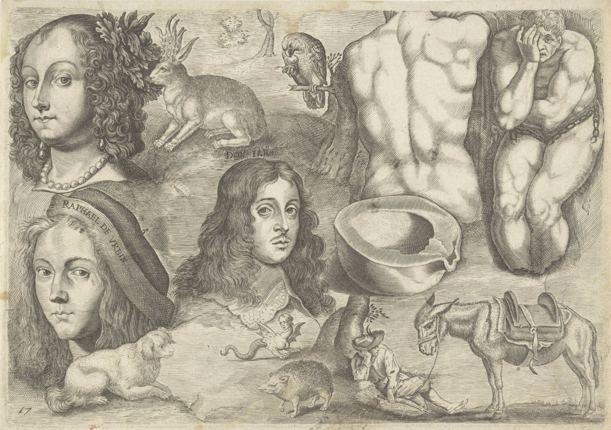 Studieblad met tekenvoorbeelden: koppen, dieren, figuren door Michael Snijders