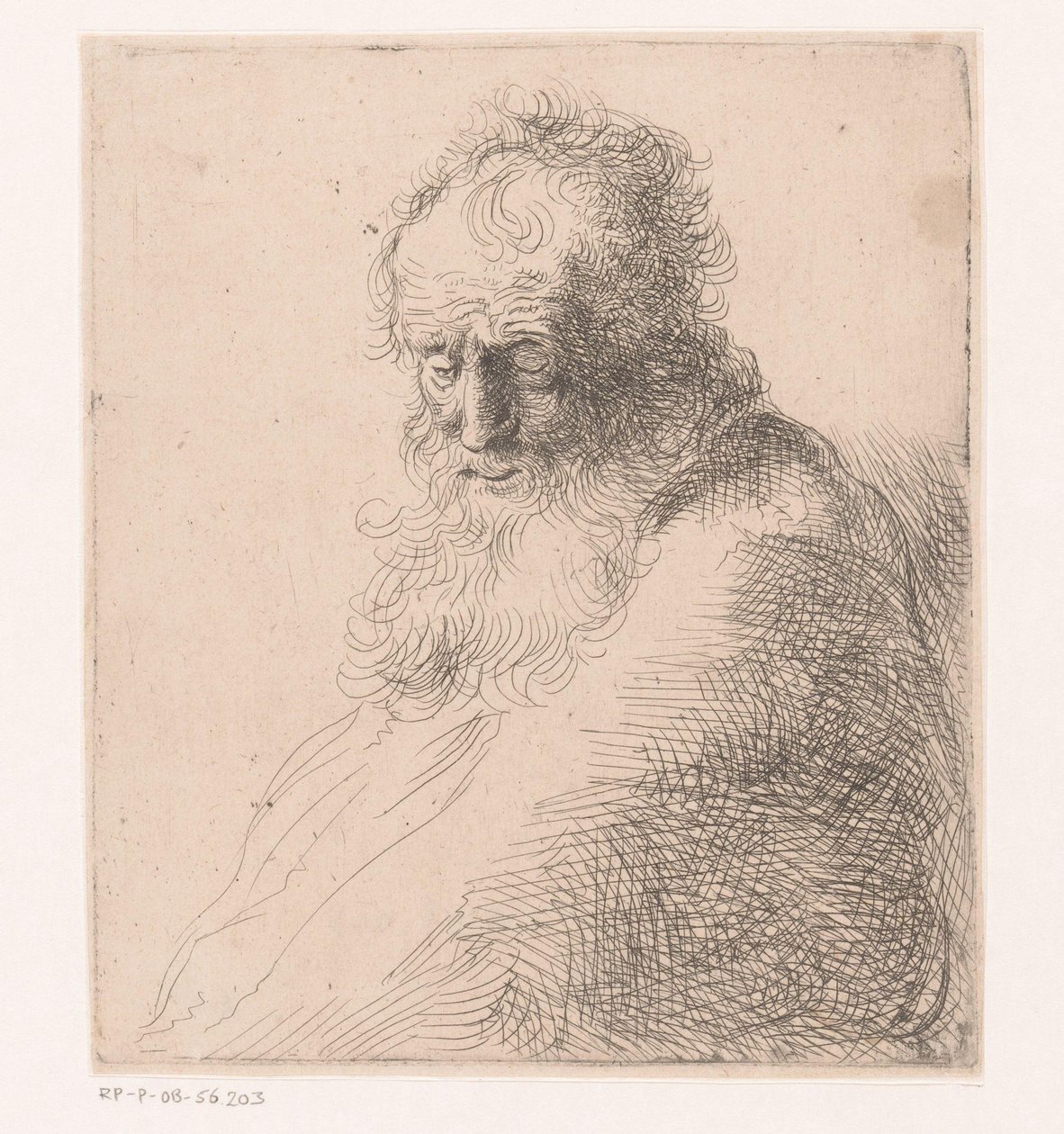 Buste van een oude man met baard door Michael Willmann (attributed to)
