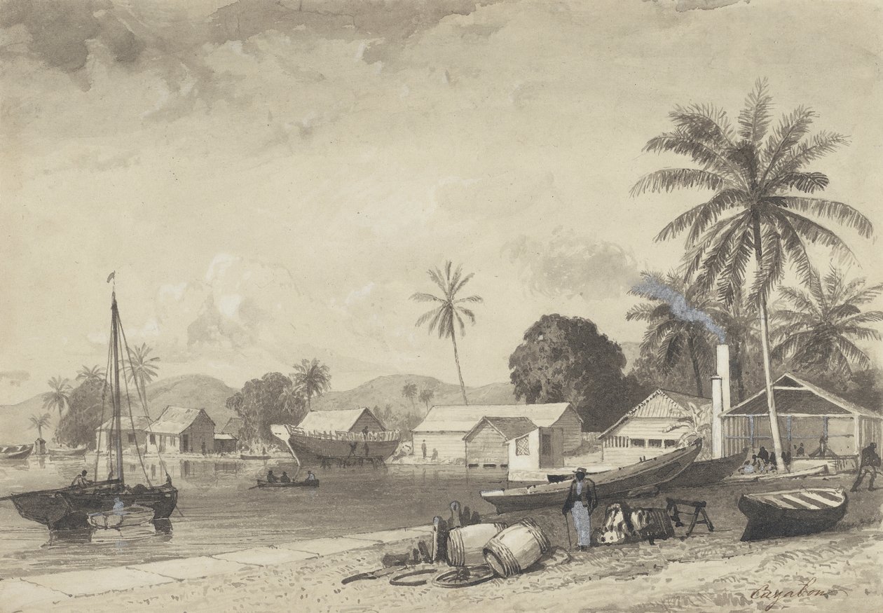 Corbeaux Town, Port of Spain door Michel Jean Cazabon