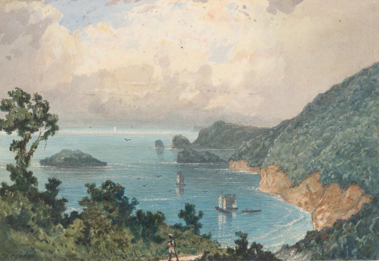Noordkust van Trinidad, vanaf de Noordpost door Michel Jean Cazabon
