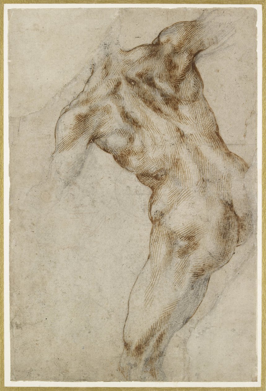 Naakt mannelijk torso door Michelangelo Buonarroti