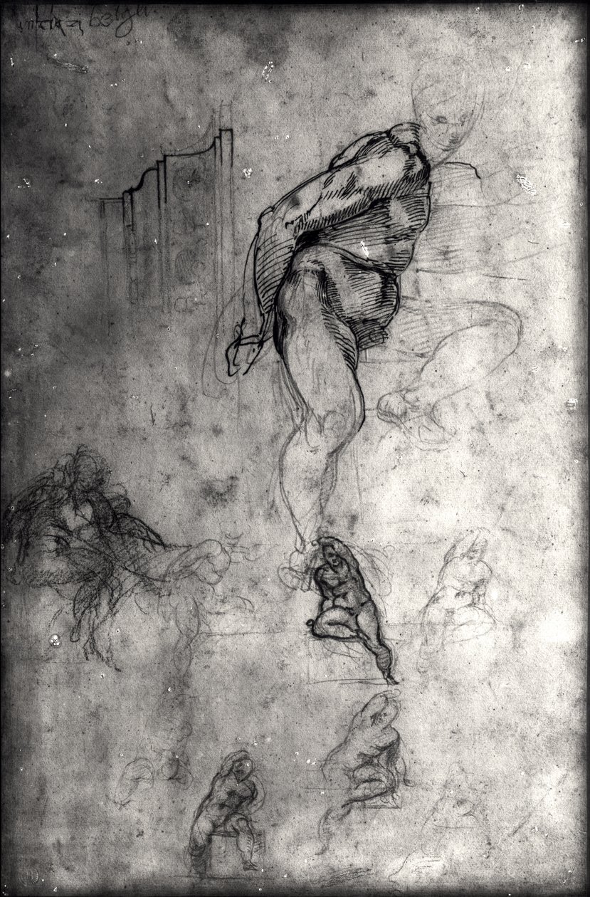 Studies voor figuren in het plafond van de Sixtijnse Kapel door Michelangelo Buonarroti