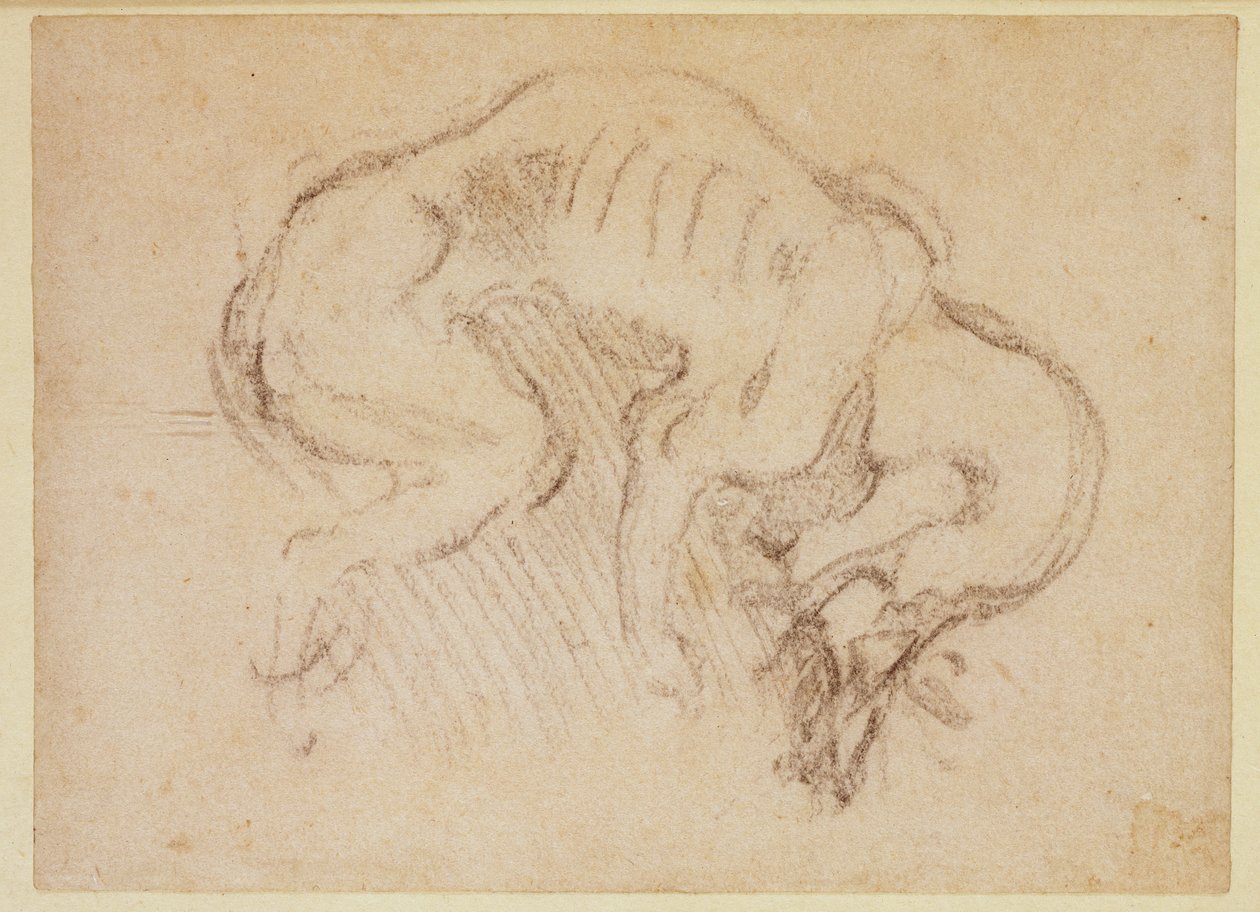 Studie van een hond door Michelangelo Buonarroti