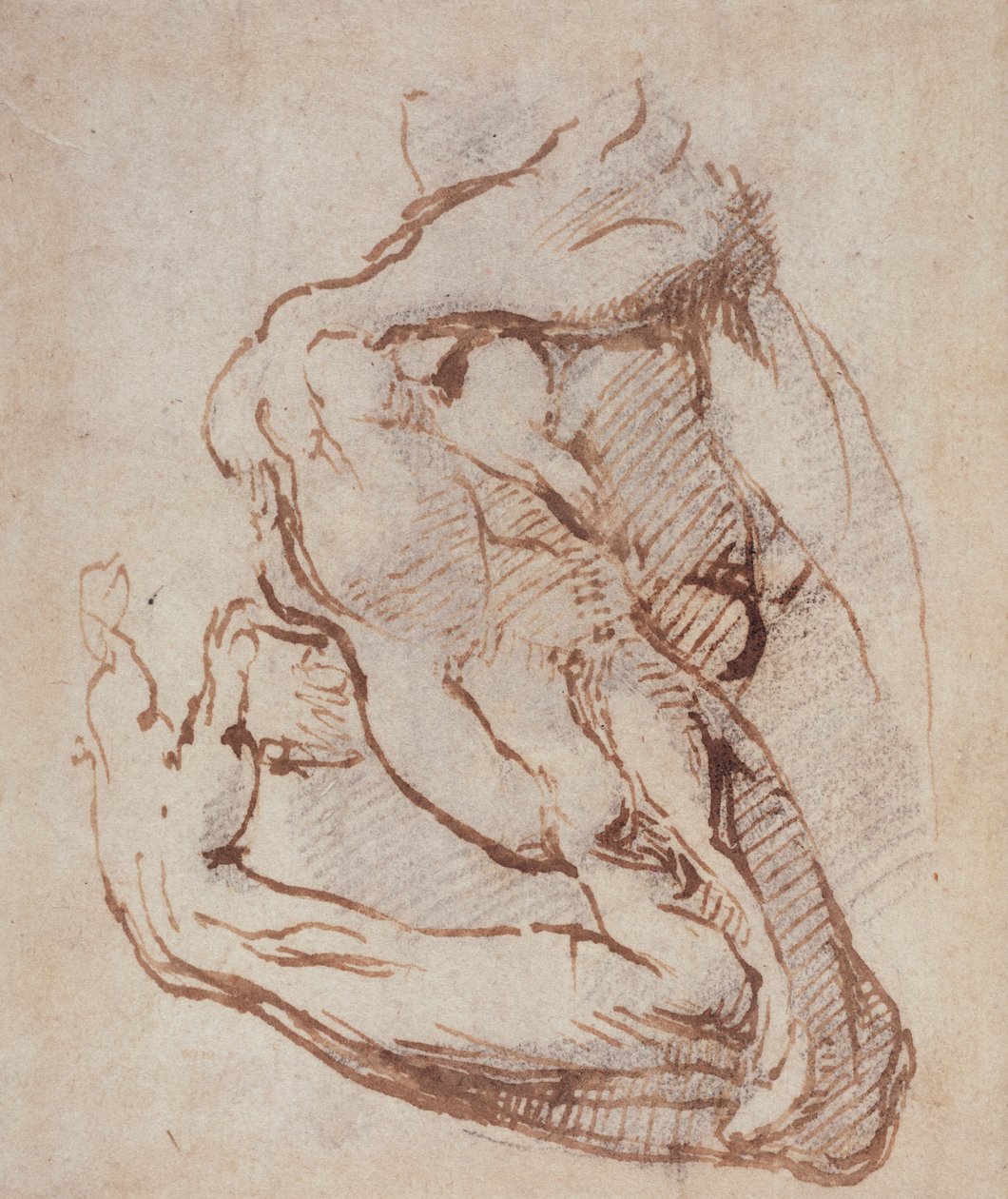 Studie van een arm door Michelangelo Buonarroti