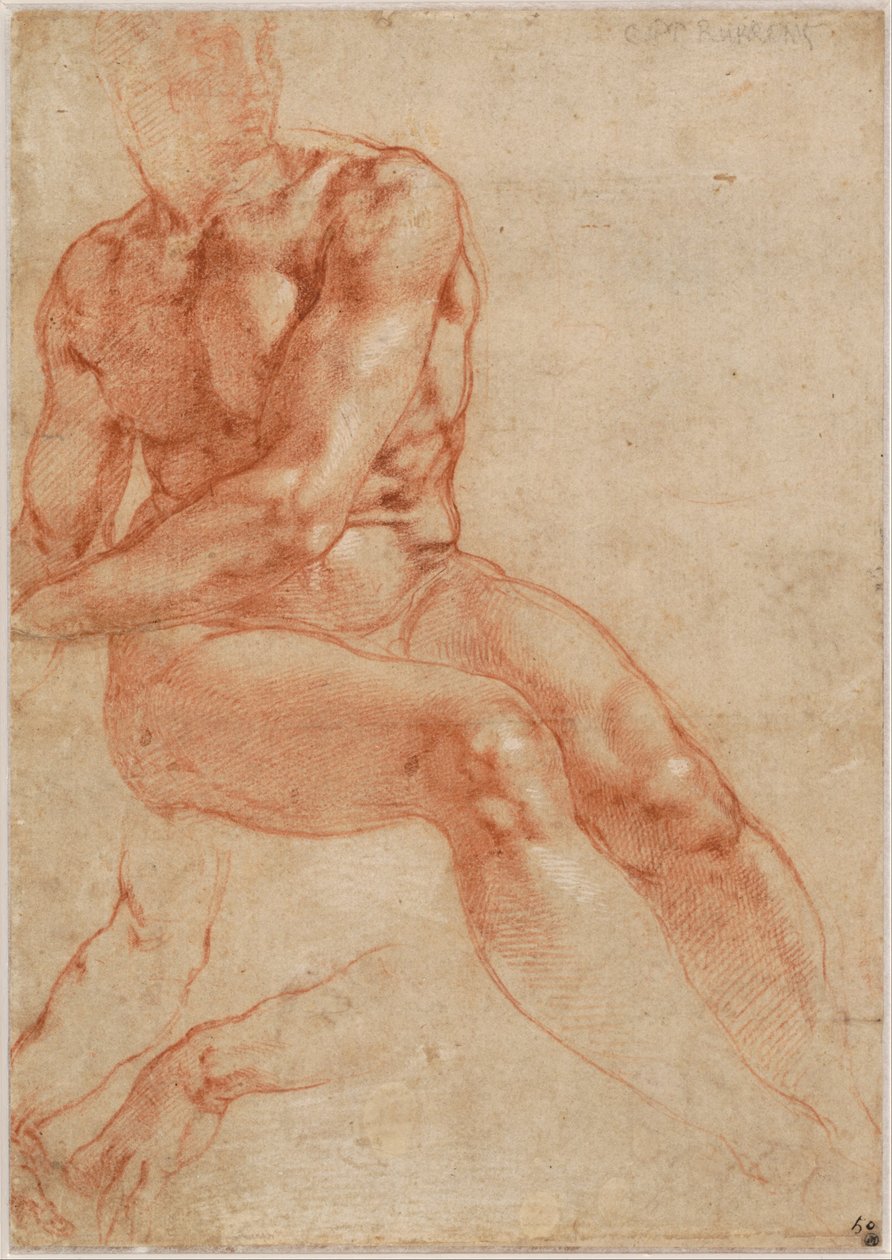 Zittend jong mannelijk naakt en twee armstudies (recto), ca. 1510-11 door Michelangelo