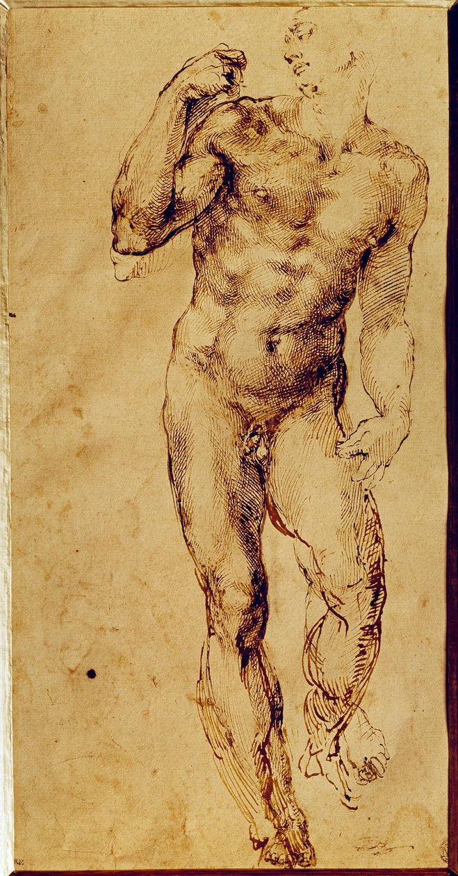 Studie van een staande naakte man door Michelangelo Buonarroti