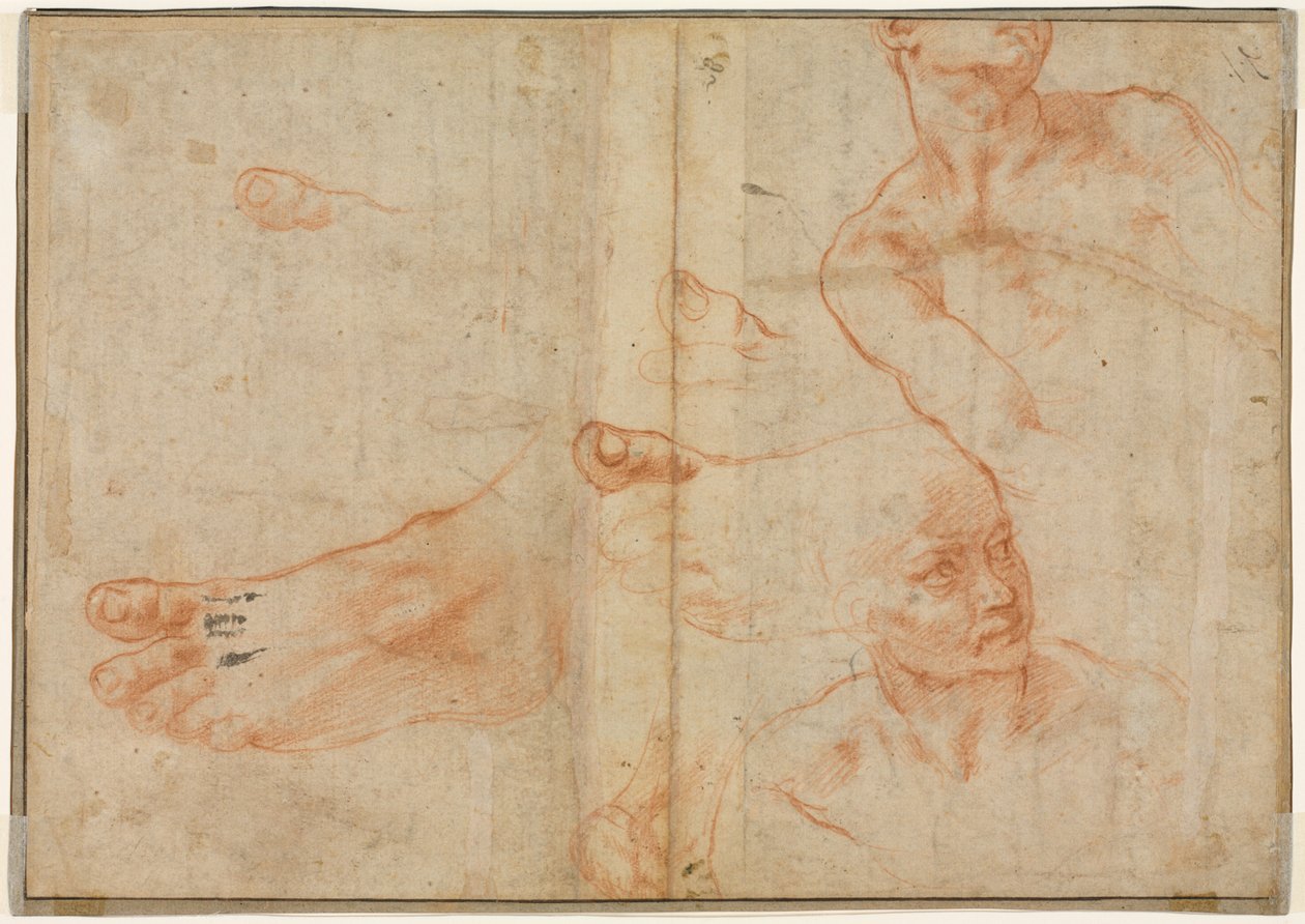 Figurenstudies voor het Plafond van de Sixtijnse Kapel (verso) door Michelangelo Buonarroti