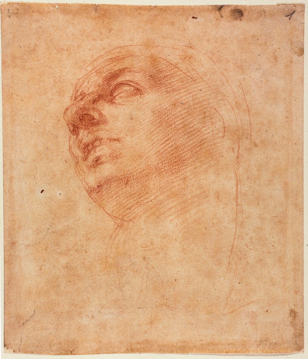 Hoofdstudie voor de Sixtijnse Jona door Michelangelo Buonarroti