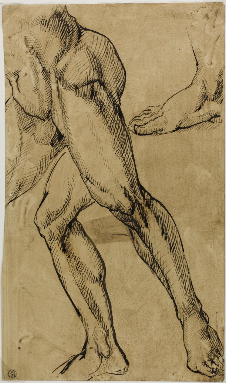 Benen en Voeten van Mannelijke Naakt door Michelangelo Buonarroti