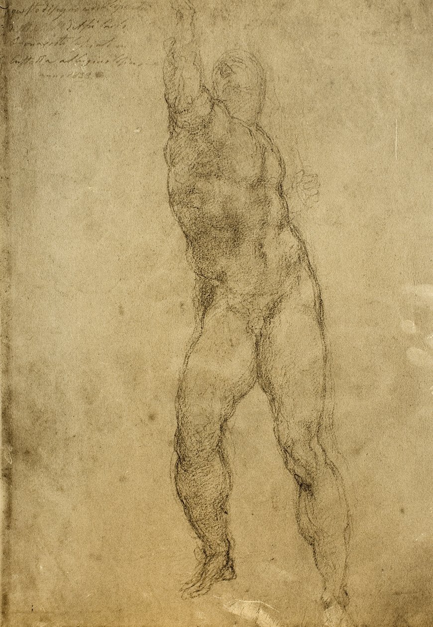 Naaktstudie, tekening door Michelangelo door Michelangelo Buonarroti