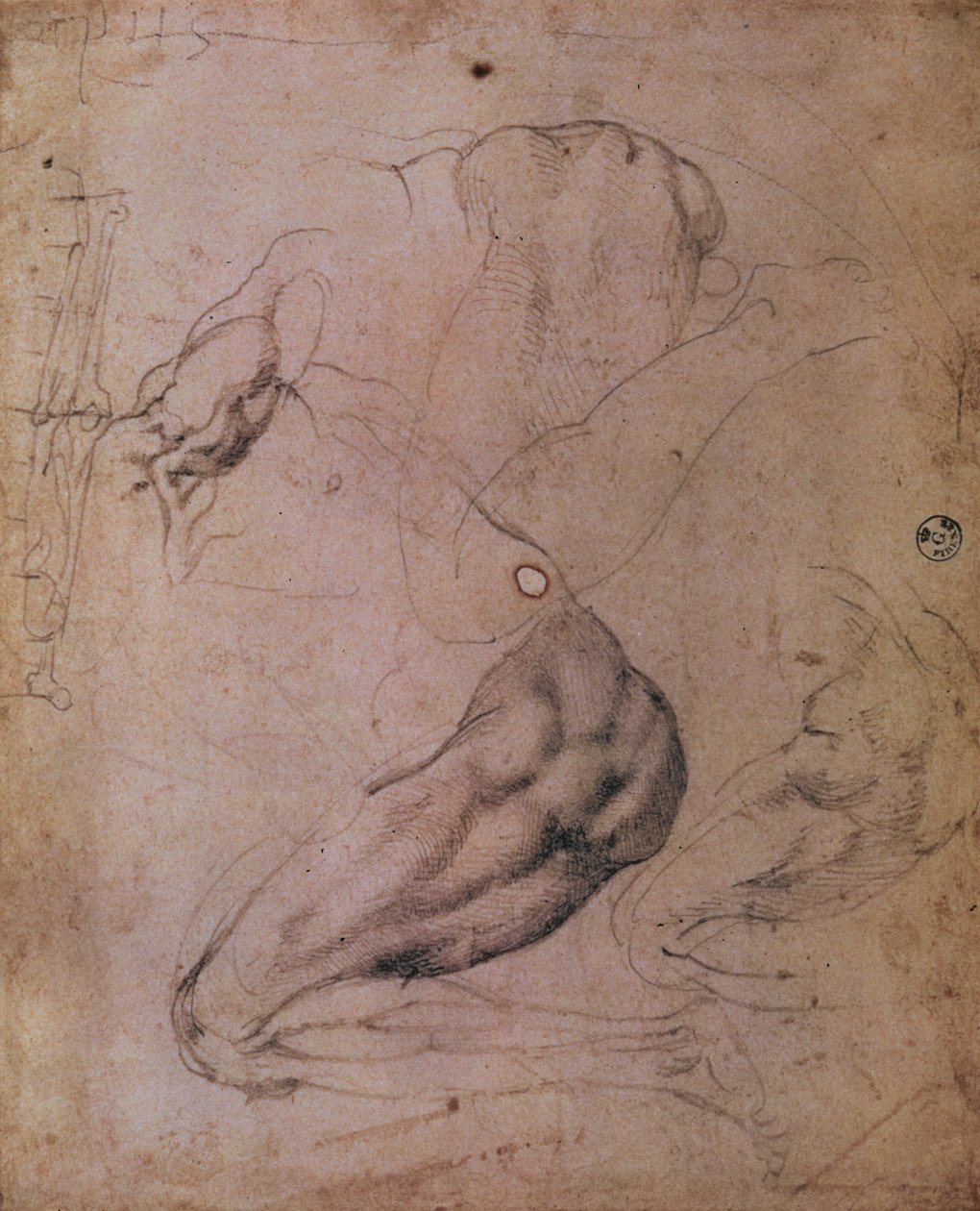 Sixtijnse Kapel Plafond (1508-12): schetsen van de figuur van Eva uit de scène van De Oerzonde door Michelangelo Buonarroti