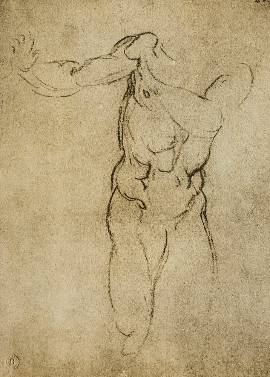 Studie voor een mannelijke buste door Michelangelo Buonarroti