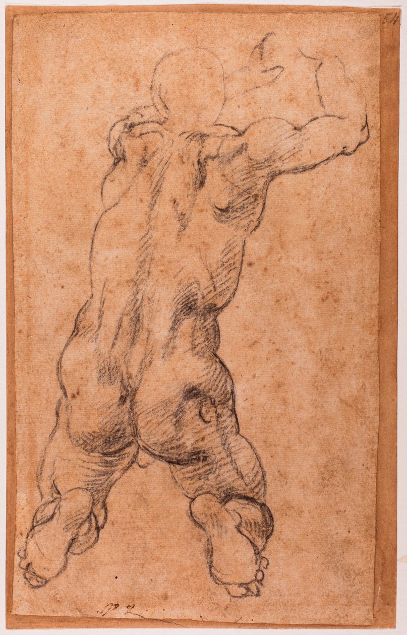 Studie van knielende mannelijke naakt door Michelangelo Buonarroti