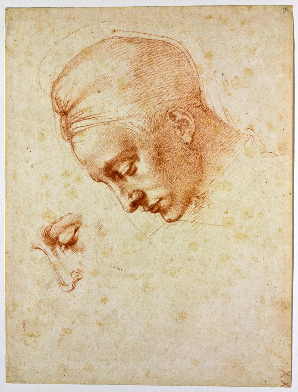 Studie naar het hoofd van Leda, ca 1530 door Michelangelo Buonarroti